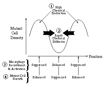 Explanation of patterning