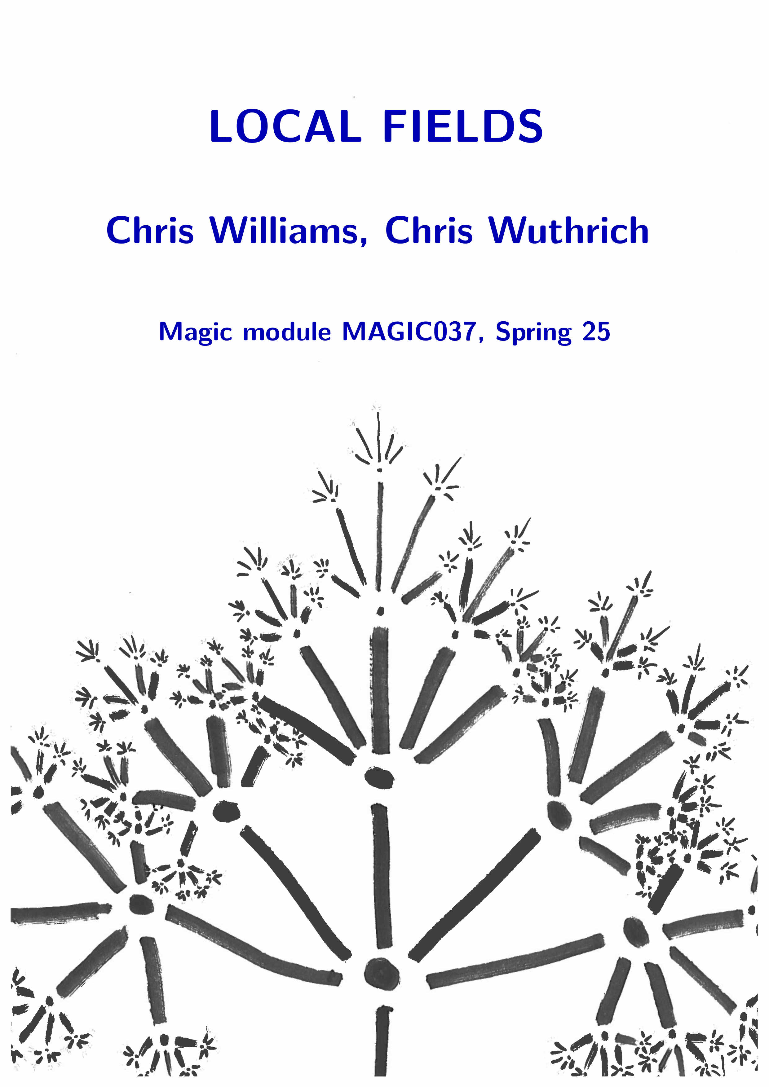 titlepage of local fields lecture notes