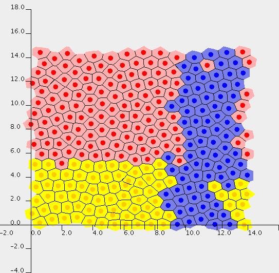 monoclonal conversion in a crypt.