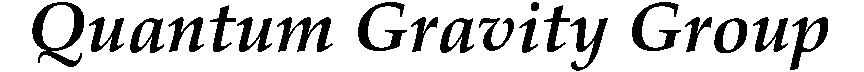 Quantum Gravity Group