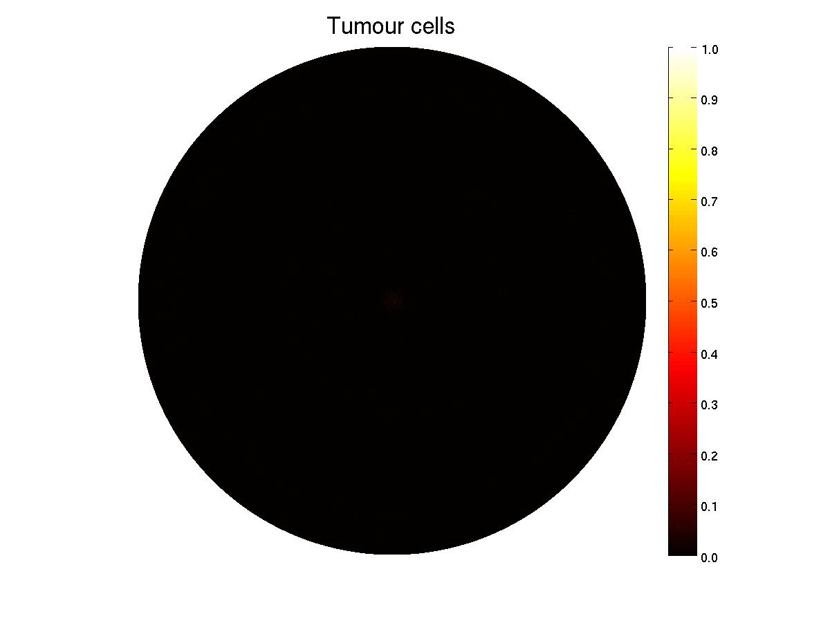 The evolution of tumour cell phase volume fraction
