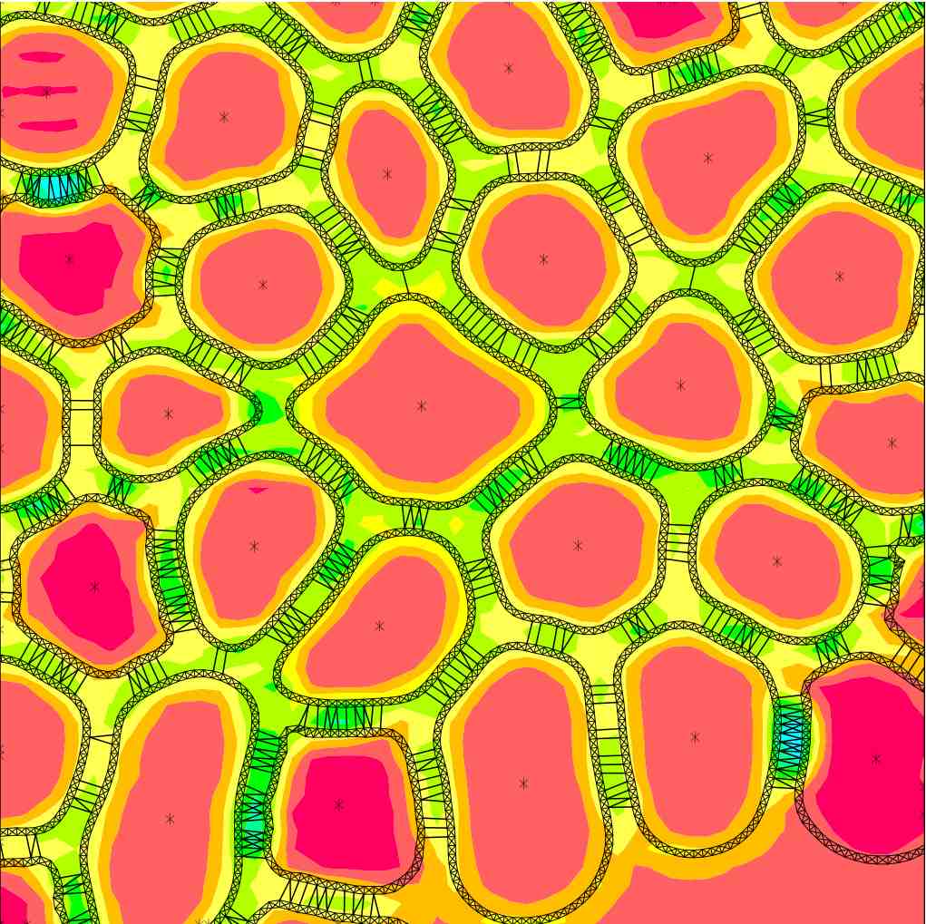 Immersed boundary simulation of cells